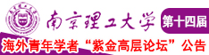 www.肥屄南京理工大学第十四届海外青年学者紫金论坛诚邀海内外英才！